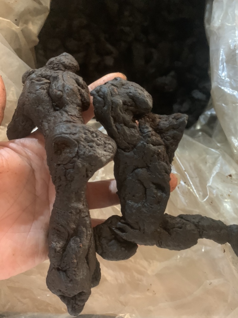 制黄精九蒸九晒黄精软黄精古法制作软糯香甜九制黄精