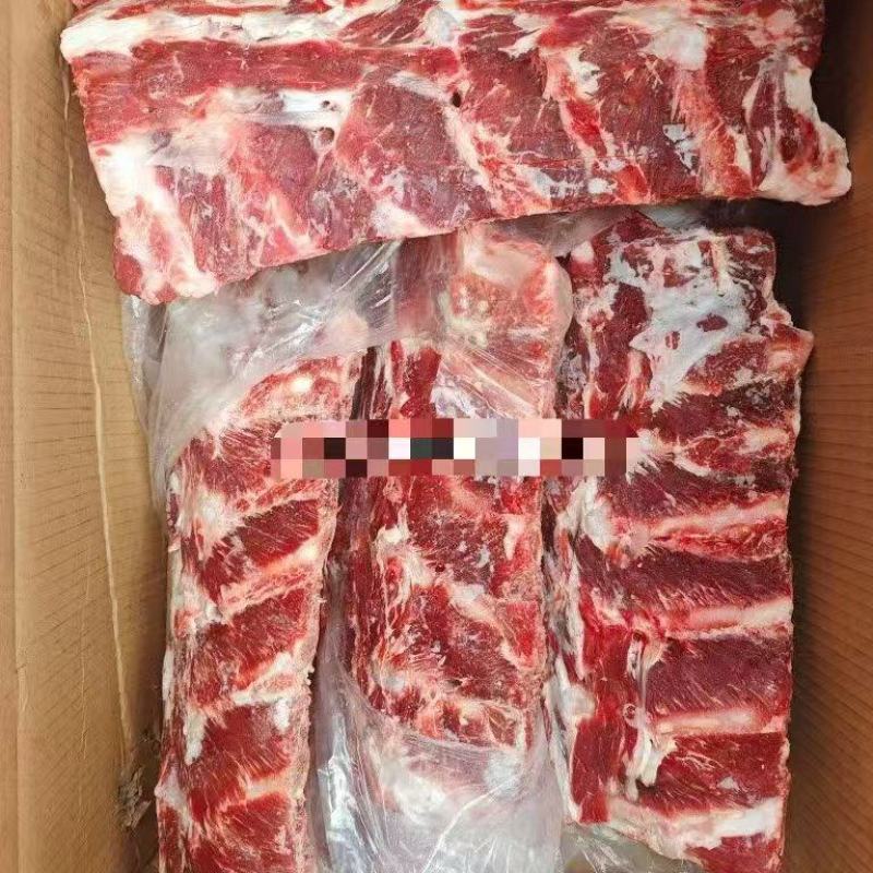 肩胛骨