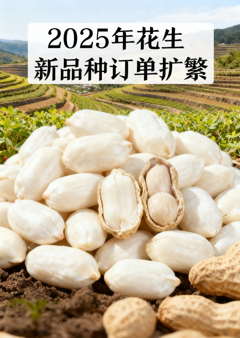 潍花系列花育系列白沙系列全系推荐