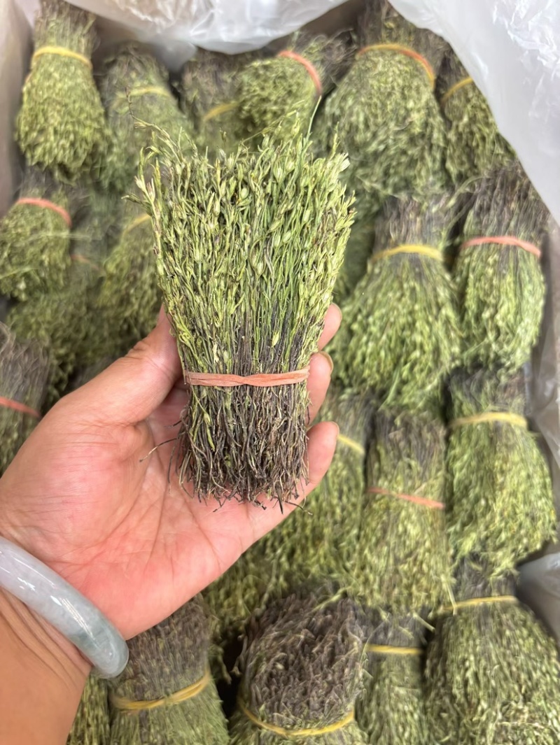 独脚金独脚疳短货精品A货青绿短一手货源大量供应