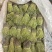 独脚金独脚疳短货精品A货青绿短一手货源大量供应
