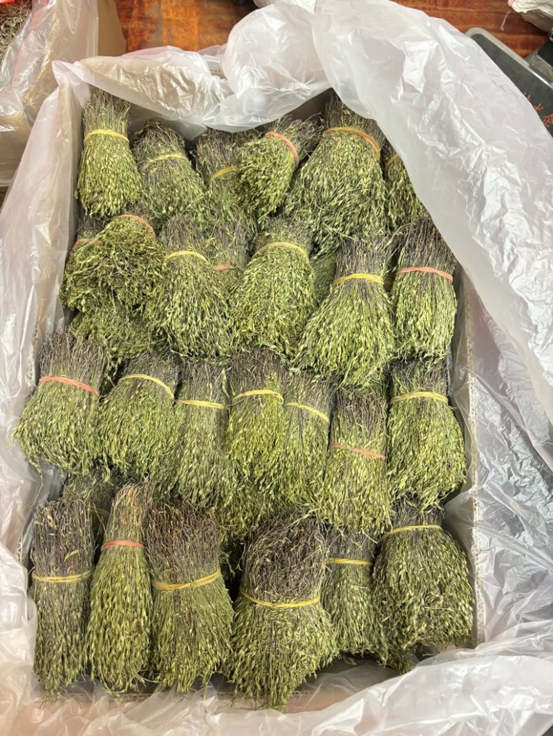 独脚金独脚疳短货精品A货青绿短一手货源大量供应
