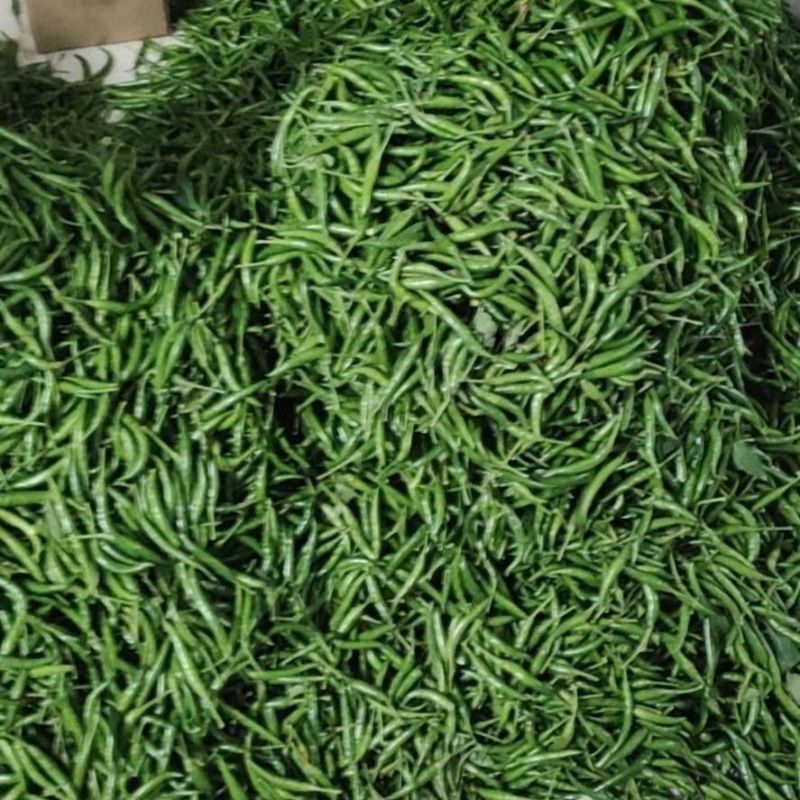 鲜辣椒青朝天椒，产地直发，品质保证，量大从优，欢迎选购