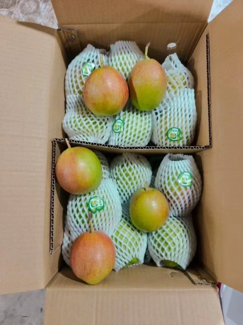 库尔勒香梨，精品香梨礼盒，保证质量，产地一手货源量大从优