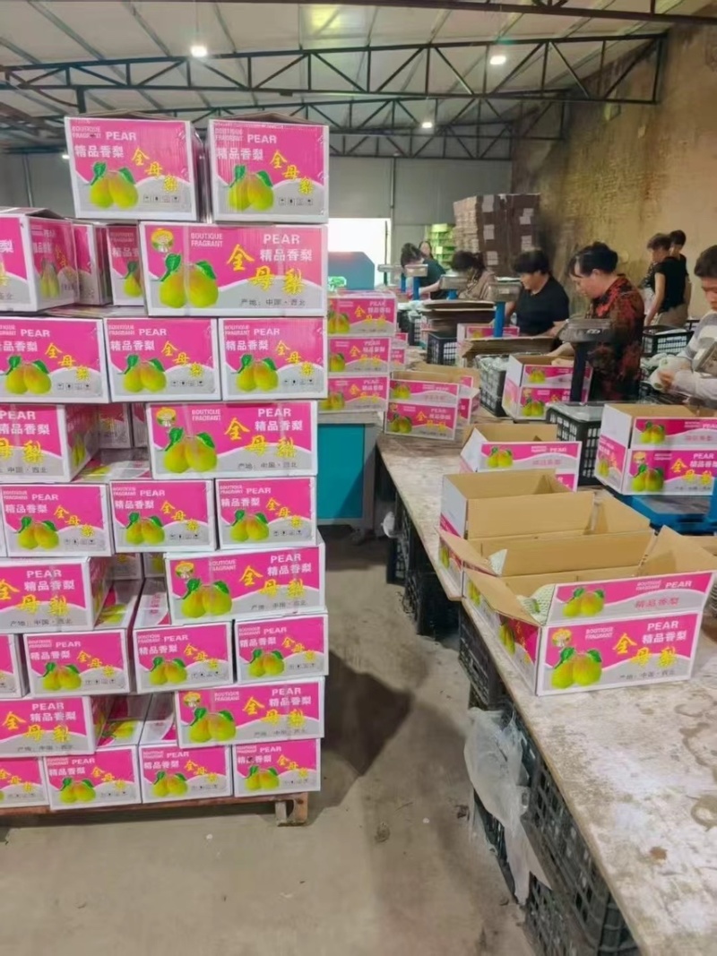 库尔勒香梨，精品香梨礼盒，保证质量，产地一手货源量大从优
