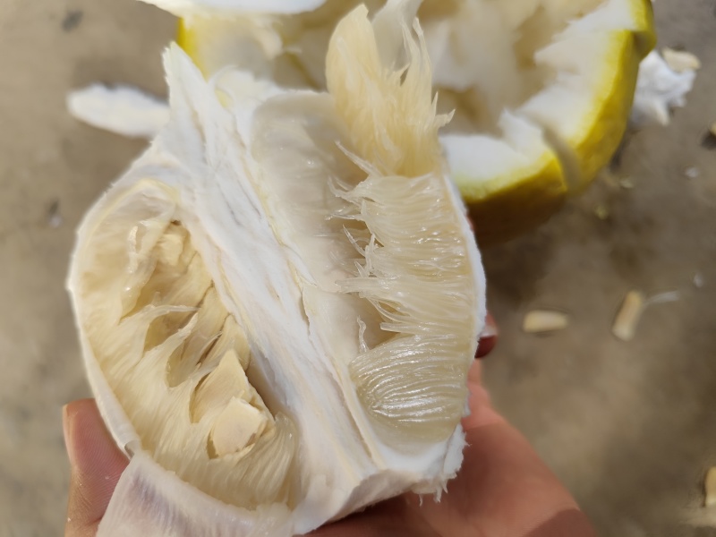 一件代发，江永50年老树香柚，水分十足