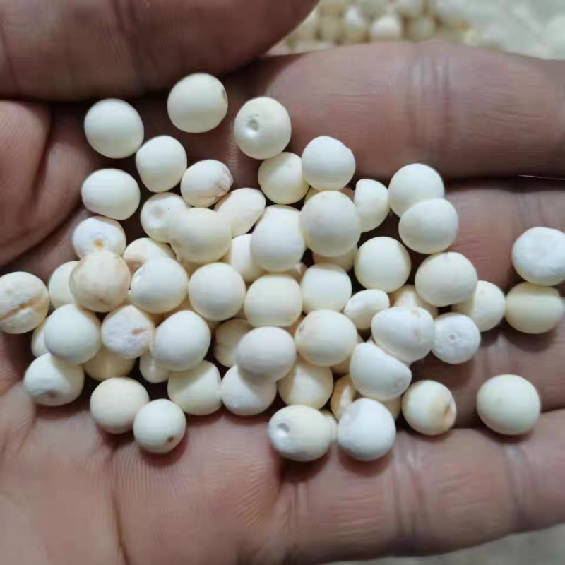 去皮芡实鸡头米干货新货无硫白芡实大货供应批发零售