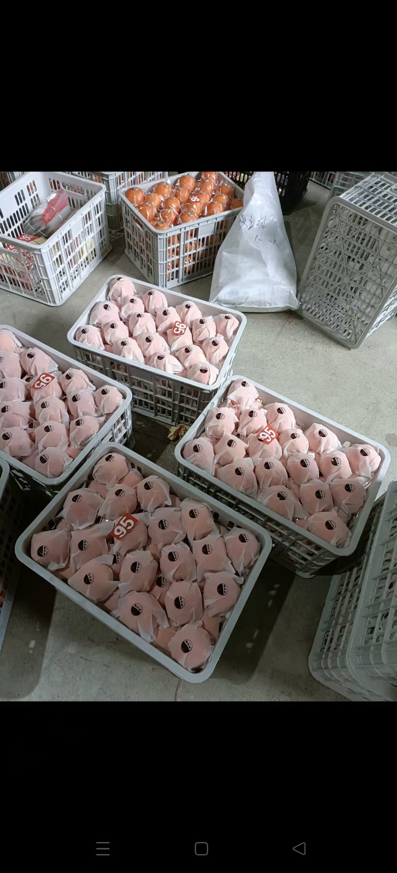 湖南湘西纽荷尔脐橙颜色好口感很好，价格美丽