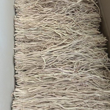 防风