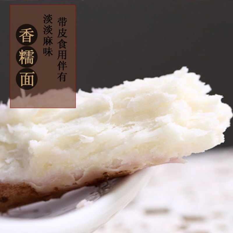 新鲜直达正宗铁棍山药小白嘴山药淮山药垆土原生态耕种批发