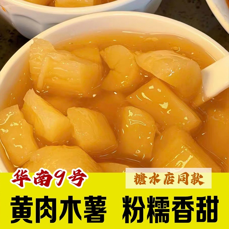 广西黄肉面包木薯