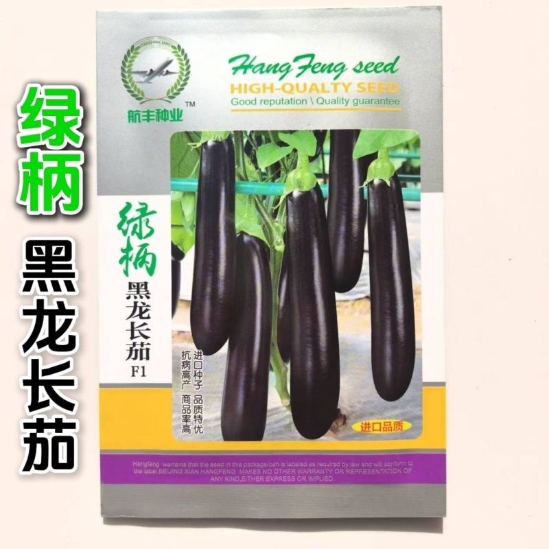 黑亮长茄绿钻茄子种子绿把长茄果实长棒形紫黑色油亮茄子高产