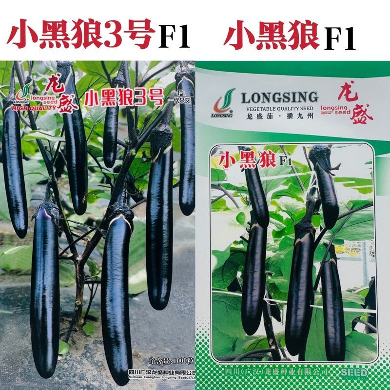 秦茄大龙烧烤茄种子肉厚皮光泽高产黑又亮长茄种子露地大棚种