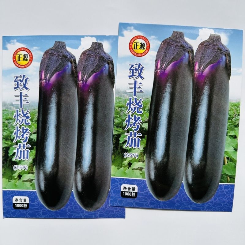 美糯烧烤茄种子肉厚粗棒顺直皮光亮长茄种子抗病高产黑长茄