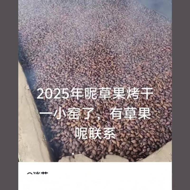 干草果