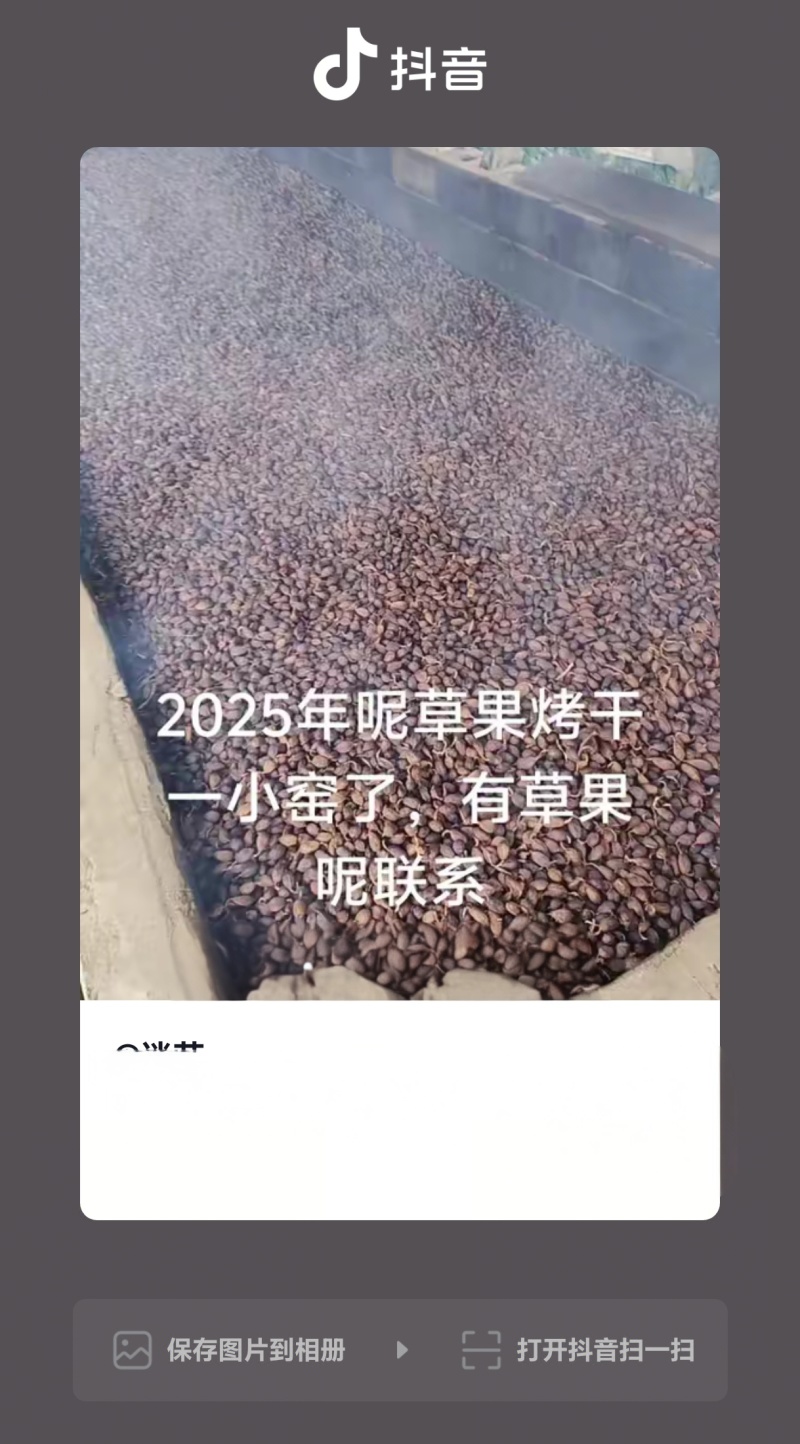 干草果