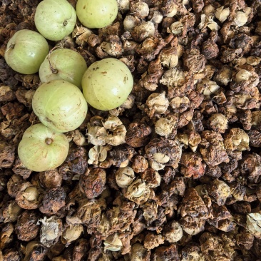 潮汕油柑茶牛柑果茶广东可泡茶泡水甘甜清口
