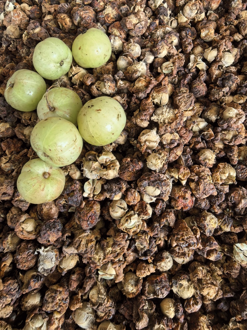 潮汕油柑茶牛柑果茶广东可泡茶泡水甘甜清口