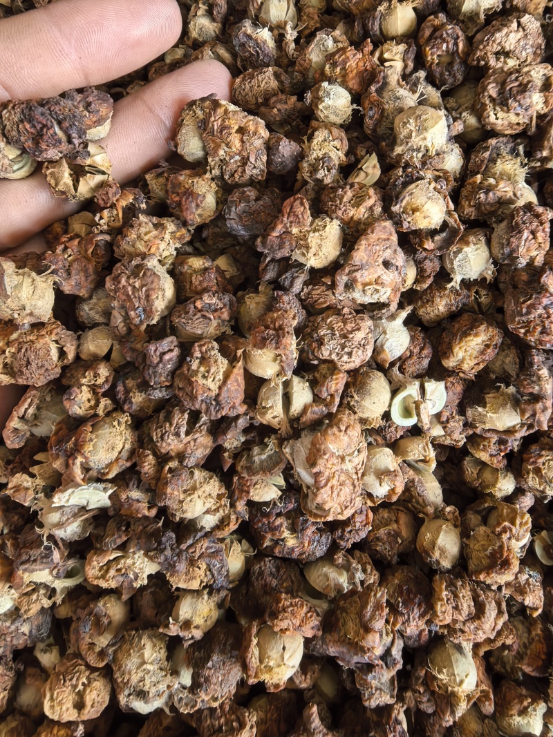 潮汕油柑茶牛柑果茶广东可泡茶泡水甘甜清口