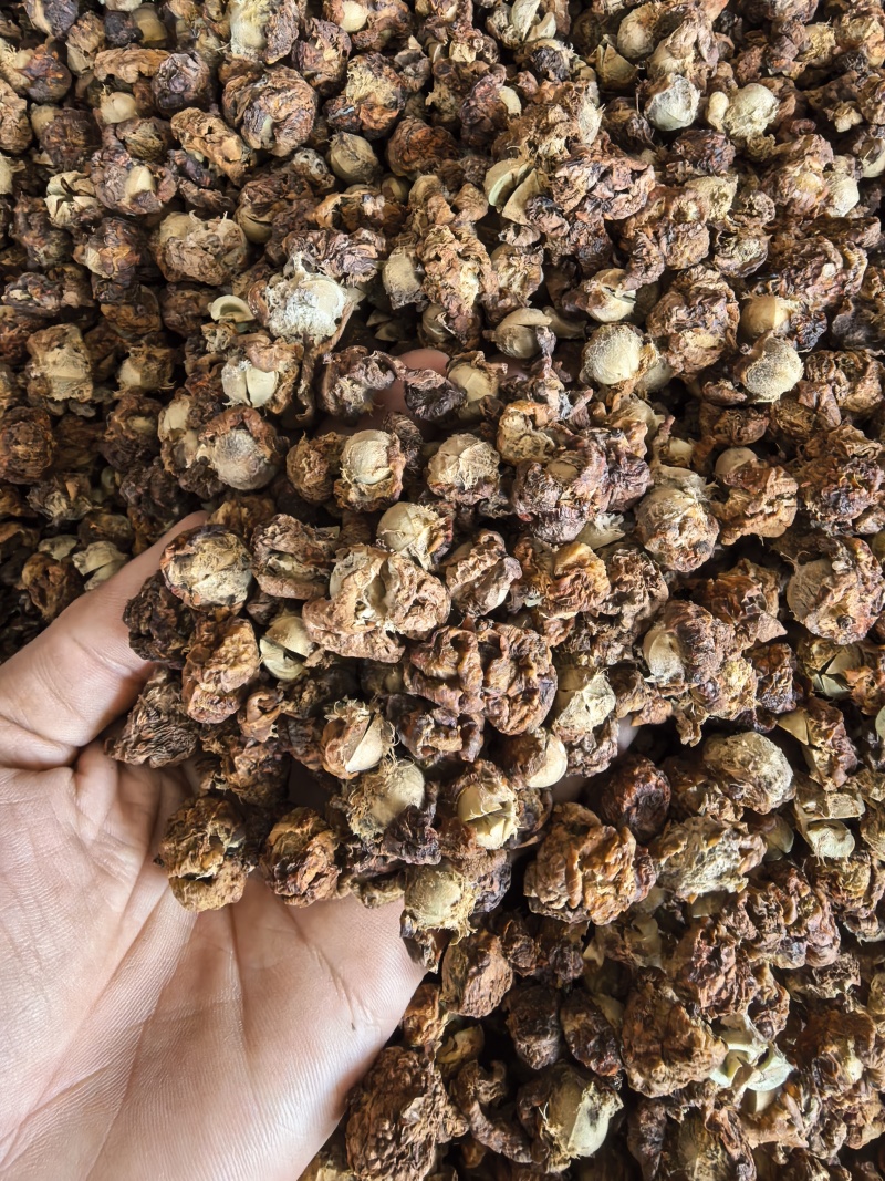潮汕油柑茶牛柑果茶广东可泡茶泡水甘甜清口