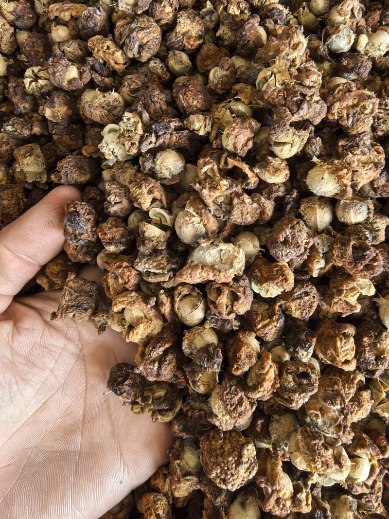 潮汕油柑茶牛柑果茶广东可泡茶泡水甘甜清口