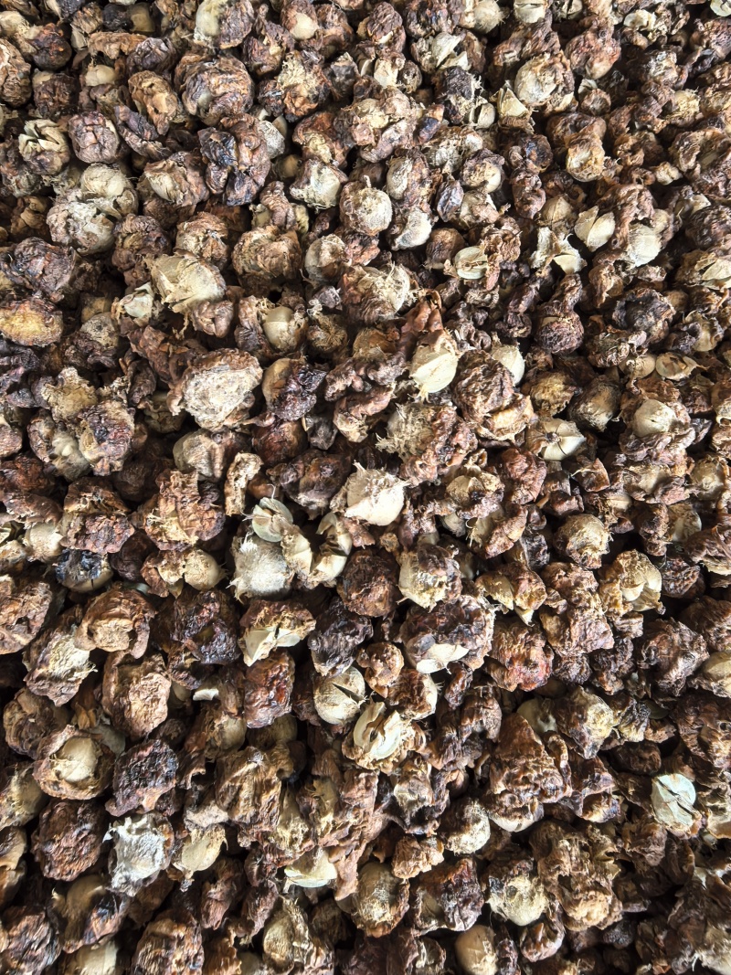 潮汕油柑茶牛柑果茶广东可泡茶泡水甘甜清口