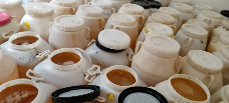 云南昭通洋槐花蜜，大量现货，42度以上，品质保证