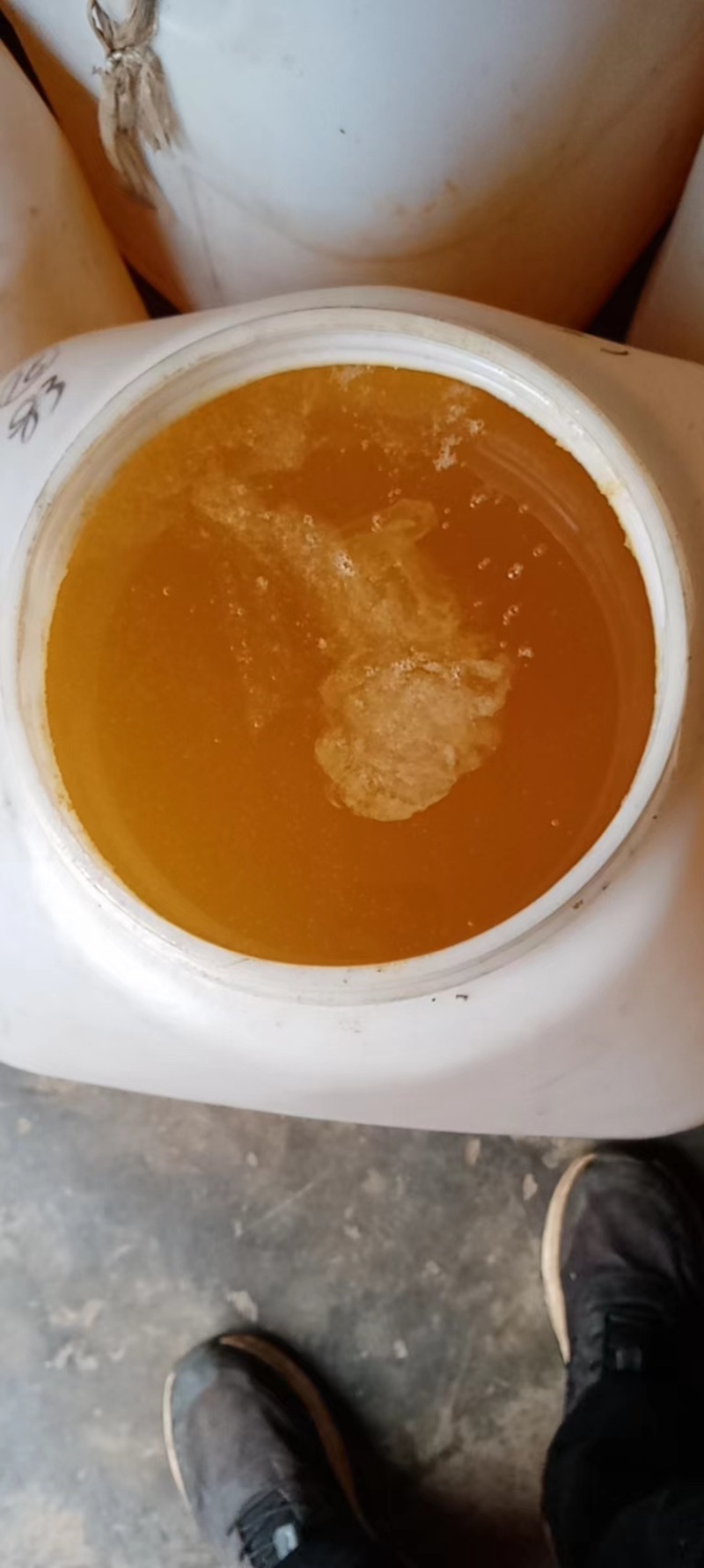 云南昭通洋槐花蜜，大量现货，42度以上，品质保证