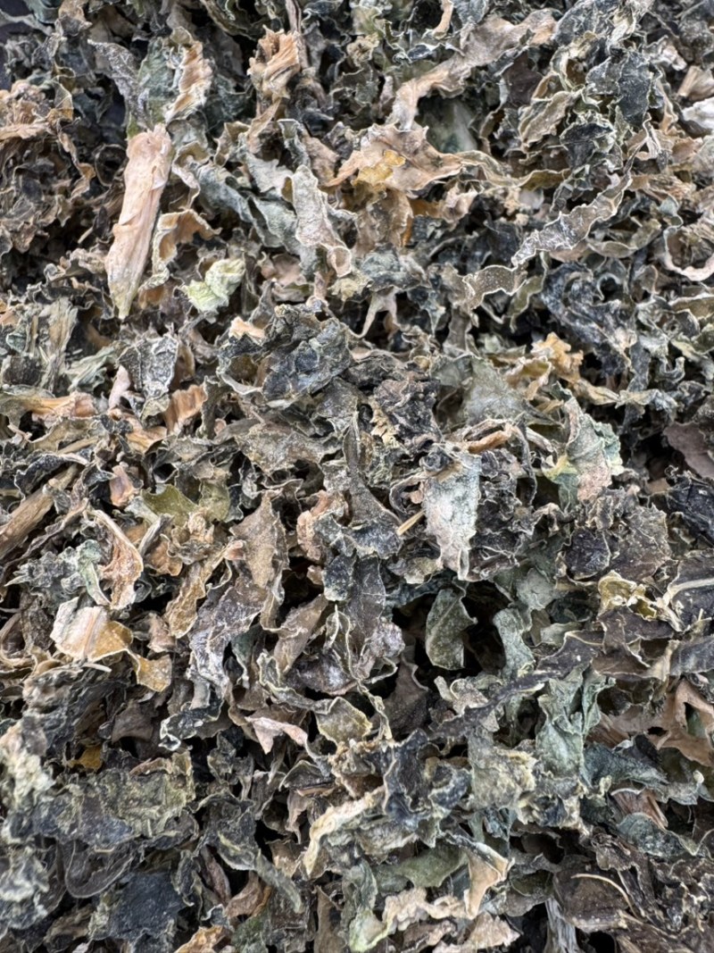 精品梅干菜支持全国发一手货源全国发货量大价优