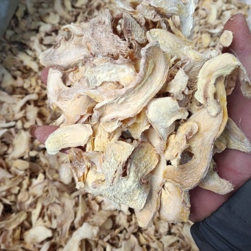 云南罗平小黄姜干片，辣味足，无硫干片，全国发货