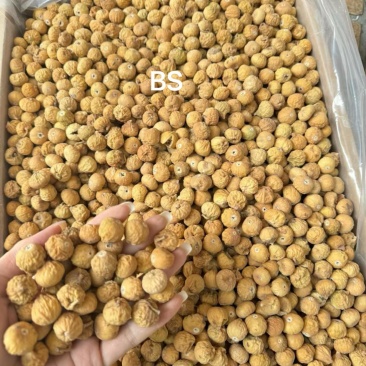 无花果干BS