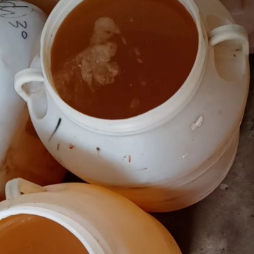 苕子花蜜，百花蜜品质保证大量批发价格优惠，纯度达标