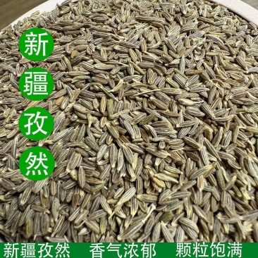 孜然粒新疆孜然孜然粉无硫无杂质颗粒饱满大货供应