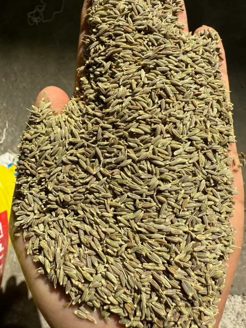孜然粒新疆孜然孜然粉无硫无杂质颗粒饱满大货供应
