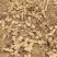 鬼子姜，鲜洋姜菊芋，大量上市中，有有需要老板联系我