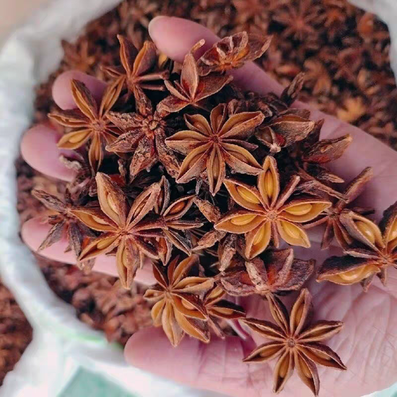 八角大茴无硫***纯净货一手货源大货供应批发八角