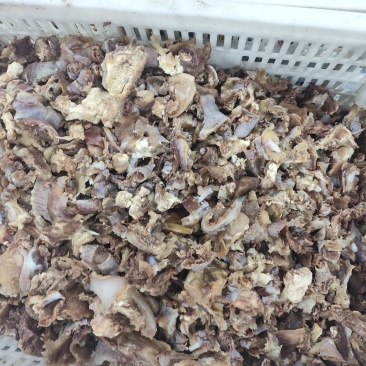 【熟牛肉】剔骨肉为骨边精华，筋肉相连，软糯弹牙，脂香浓郁