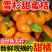 【爆甜】正宗雪杉蜜桔现摘当季新鲜橘子批发薄皮无籽黄皮蜜桔