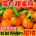 【爆甜】正宗雪杉蜜桔现摘当季新鲜橘子批发薄皮无籽黄皮蜜桔