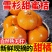 【爆甜】正宗雪杉蜜桔现摘当季新鲜橘子批发薄皮无籽黄皮蜜桔