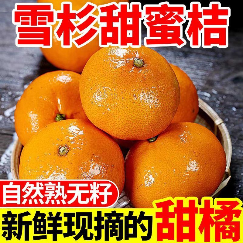 【爆甜】正宗雪杉蜜桔现摘当季新鲜橘子批发薄皮无籽黄皮蜜桔