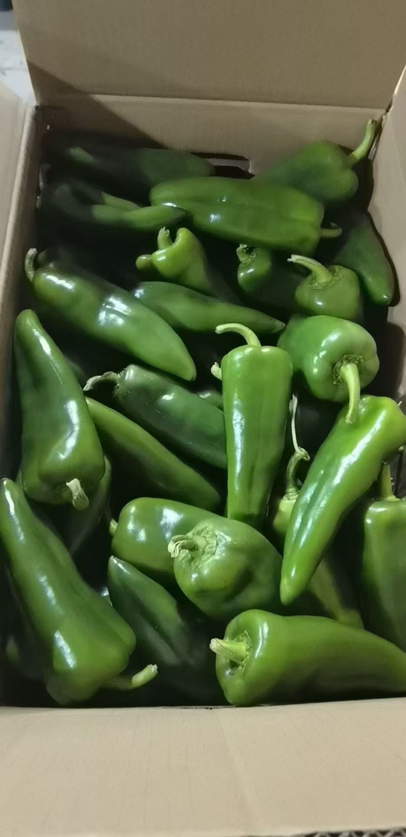 青泡椒