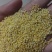 黄小米老陈米质量保证价格合理量大从优欢迎来电