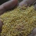 黄小米老陈米质量保证价格合理量大从优欢迎来电