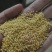 黄小米老陈米质量保证价格合理量大从优欢迎来电