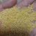 黄小米老陈米质量保证价格合理量大从优欢迎来电