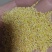 黄小米老陈米质量保证价格合理量大从优欢迎来电