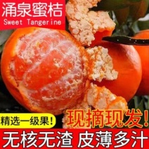 临海高山涌泉蜜桔无核橘子新鲜应季水果孕妇桔子黄岩网红桔子