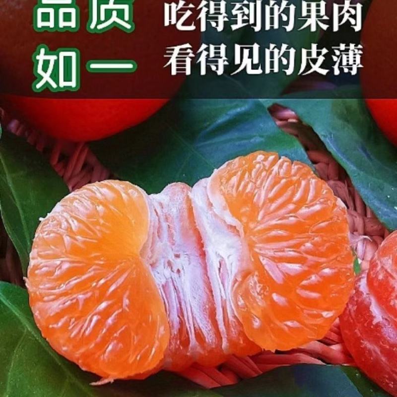 临海高山涌泉蜜桔无核橘子新鲜应季水果孕妇桔子黄岩网红桔子