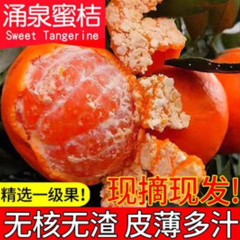 临海高山涌泉蜜桔无核橘子新鲜应季水果孕妇桔子黄岩网红桔子